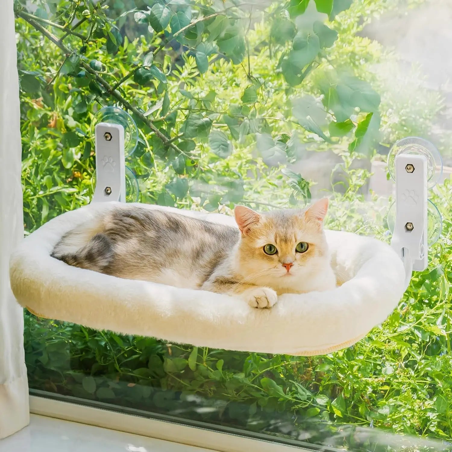 PurrView Diamond Cat Window Perch – Foldable Hammock