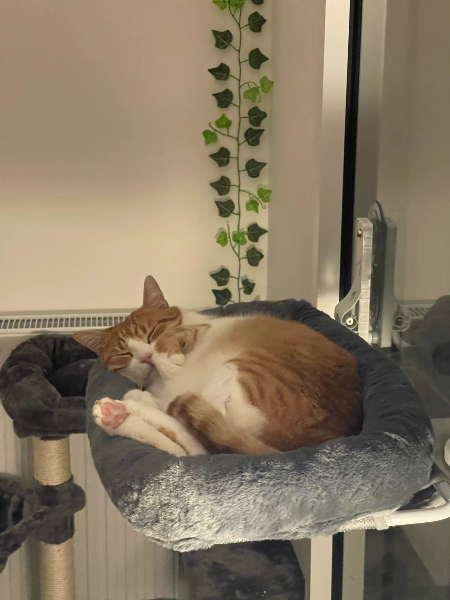 PurrView Diamond Cat Window Perch – Foldable Hammock